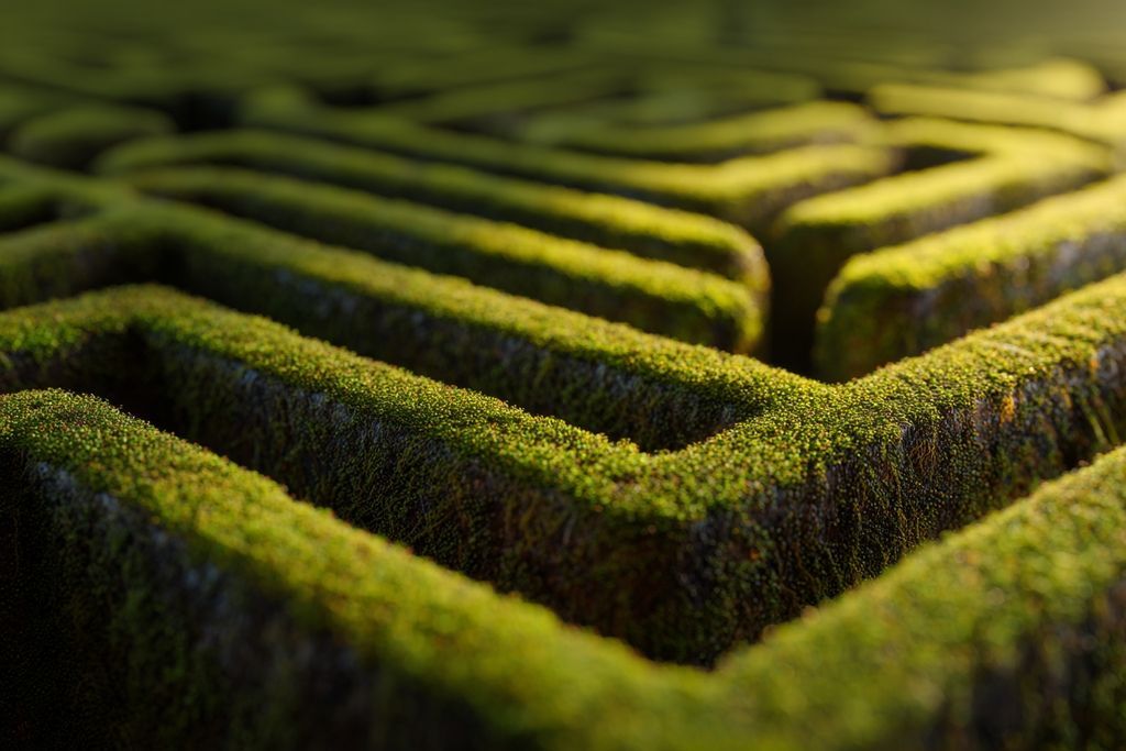 Image symbolique d'un labyrinthe illustrant les défis du transfert de prix et de la fiscalité mondiale.